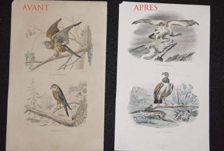 Restauration de patrimoine écrit La Ville-du-Bois