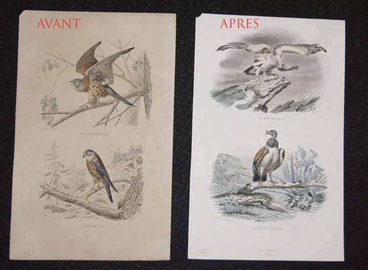 Nettoyage de documents La Ville-du-Bois